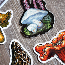 Load image into Gallery viewer, Mushroom Vinyl Sticker Set