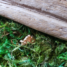 Load image into Gallery viewer, Bronze Chanterelle Mushroom Ring