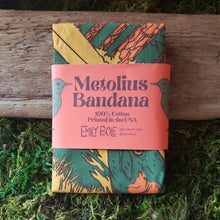 Load image into Gallery viewer, Metolius River Bandana