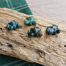 Load image into Gallery viewer, Moss Agate Frog Pocket Stones