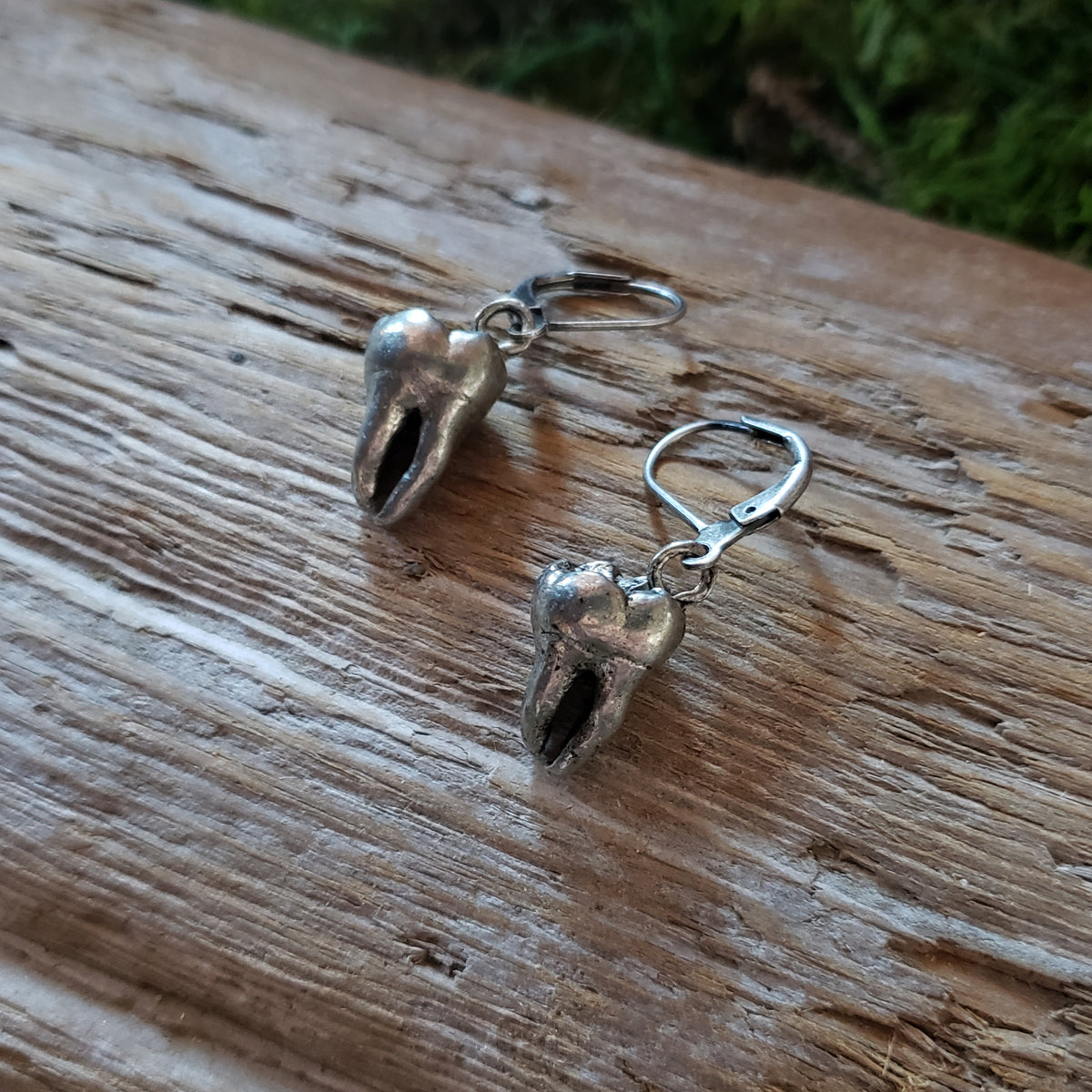 Tooth Earrings in Gold or Silver Plating Cast Teeth Earrings