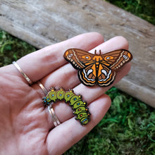 Load image into Gallery viewer, Cecropia Moth Pin Set