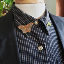 Load image into Gallery viewer, Cecropia Moth Pin Set