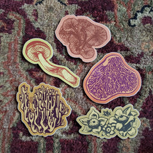Load image into Gallery viewer, Fungi Vinyl Sticker Pack