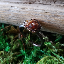 Load image into Gallery viewer, Electroformed Garnet in Copper Ring (size 6.5)