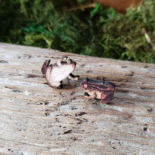 Load image into Gallery viewer, Tiny Toad Wooden Stud Earrings