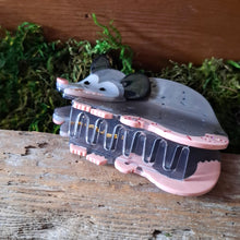 Load image into Gallery viewer, Possum Claw Clip