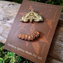 Load image into Gallery viewer, Pandora Sphinx Moth Pin Set