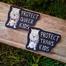Load image into Gallery viewer, Protect Trans/Queer Kids Vinyl Sticker