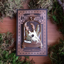 Load image into Gallery viewer, Muntjac Skull Curio Enamel Pin