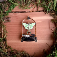 Load image into Gallery viewer, Luna Moth Curio Jar Enamel Pin