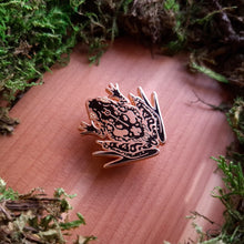Load image into Gallery viewer, Spooky Frog Enamel Pin
