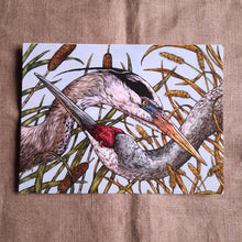 Load image into Gallery viewer, Heron & Crane Greeting Card