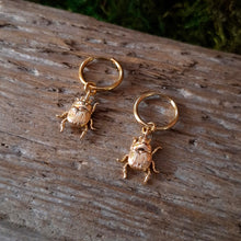 Load image into Gallery viewer, Small Gold Beetle Hoop Earrings