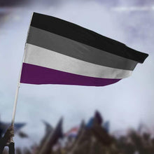Load image into Gallery viewer, Asexual (Ace) Pride Flag