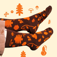 Load image into Gallery viewer, Stick Season Socks