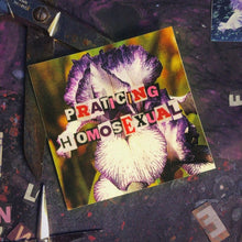 Load image into Gallery viewer, "Practicing Homosexual" Collage Sticker