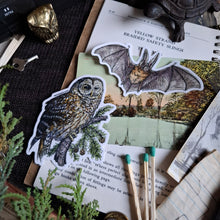 Load image into Gallery viewer, Barred Owl Vinyl Sticker