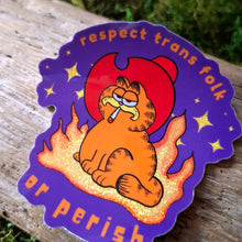 Load image into Gallery viewer, "Respect Trans Folks or Perish" Vinyl Sticker