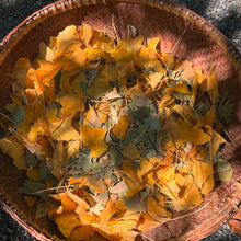 Load image into Gallery viewer, Basket filled with yellow and green ginko leaves on a gravel ground, in dappled sunlight
