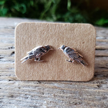 Load image into Gallery viewer, Sterling Silver Raven Studs