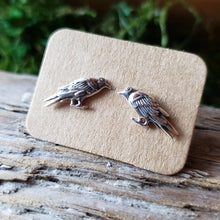 Load image into Gallery viewer, Sterling Silver Raven Studs