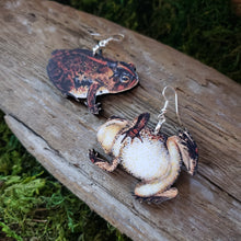 Load image into Gallery viewer, Southern Toad Wooden Earrings