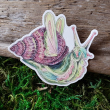 Load image into Gallery viewer, Fairy Snail Vinyl Sticker