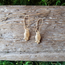 Load image into Gallery viewer, Brass Owl Dangle Earrings