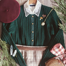 Load image into Gallery viewer, Amanita Mushroom Enamel Pin