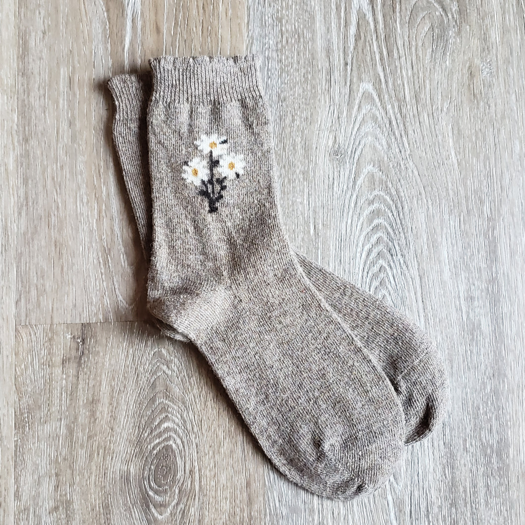 Cozy Daisy Bundle Socks