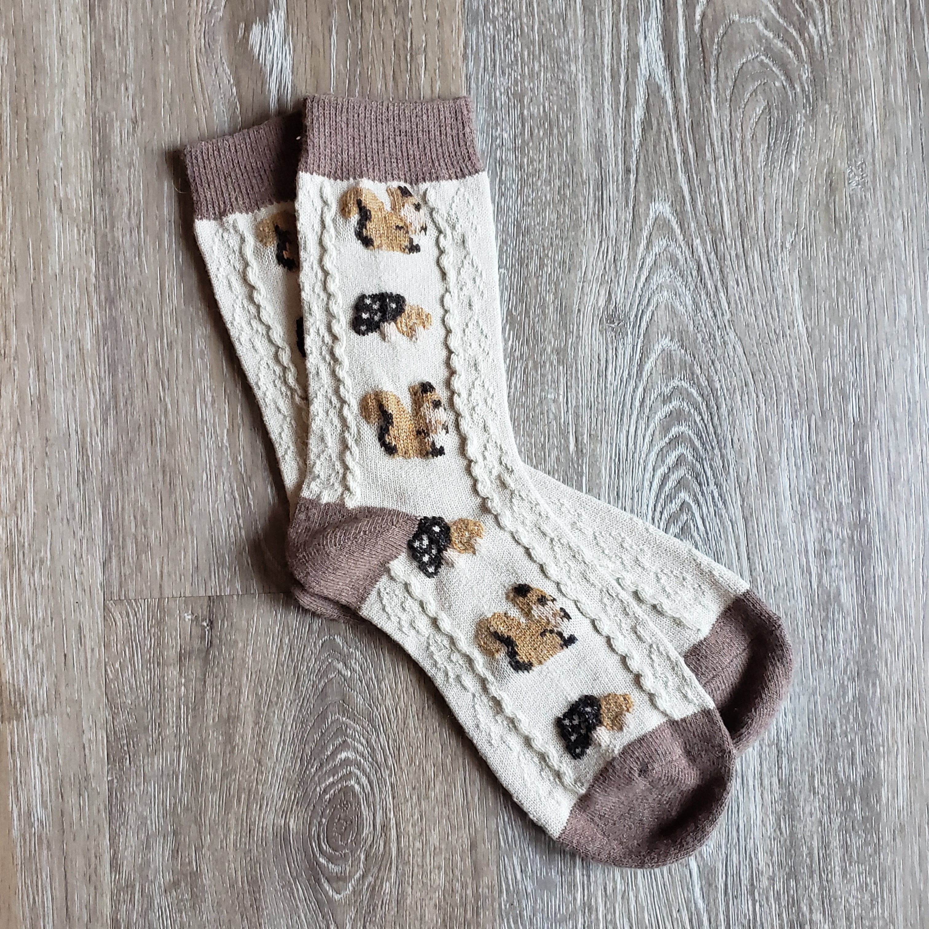 Cozy Squirrel Socks