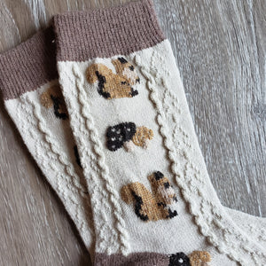 Cozy Squirrel Socks