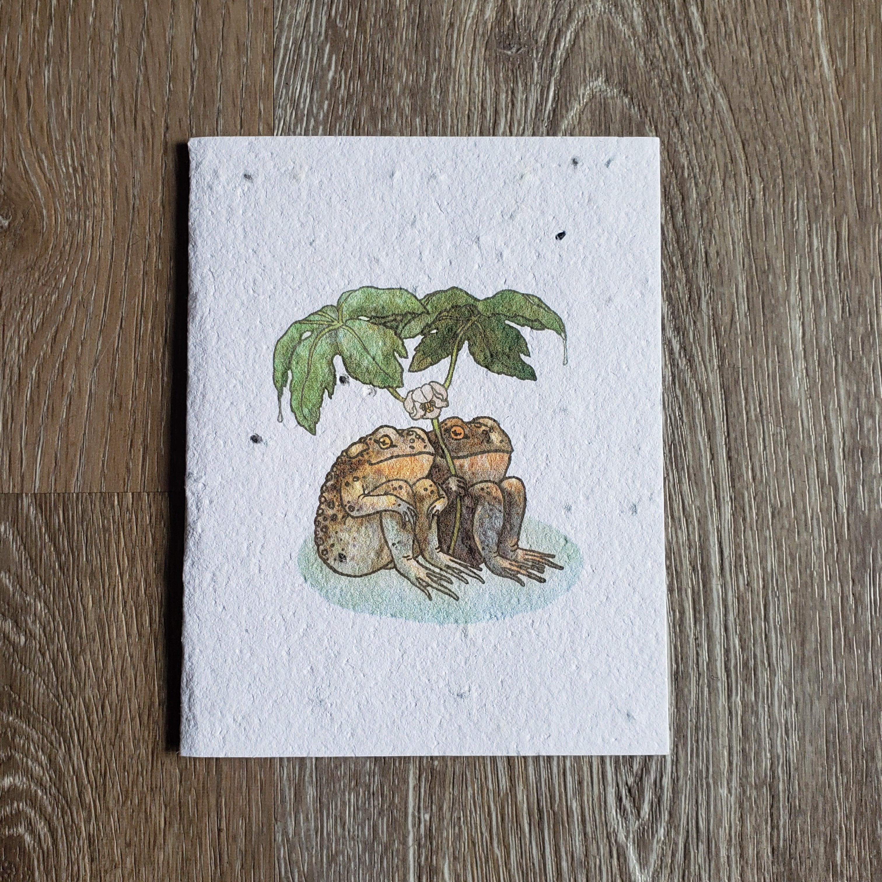 Two Toads Plantable Greeting Card