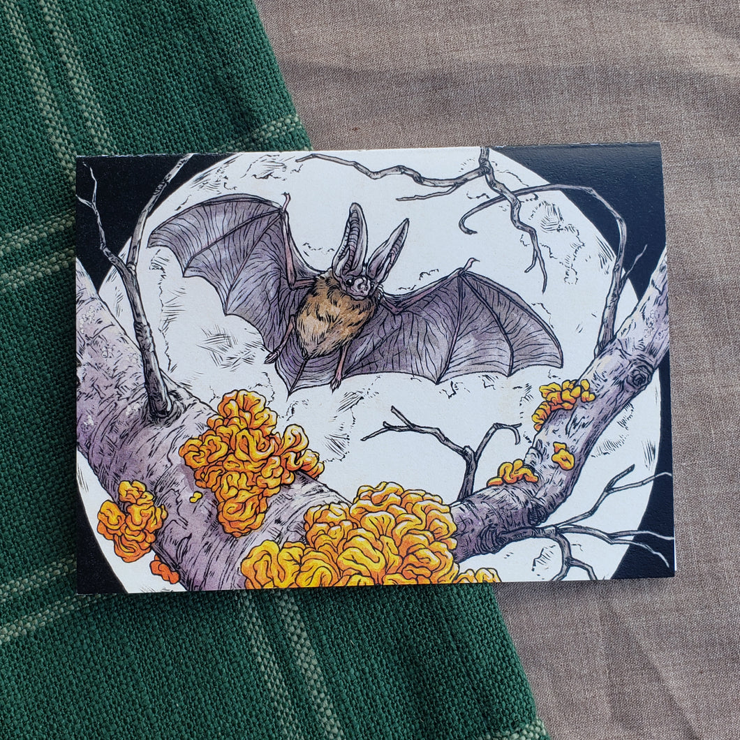 Townsend’s Big-Eared Bat Greeting Card