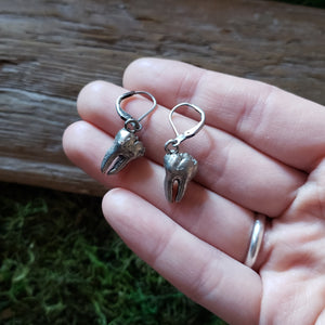 Tooth Earrings