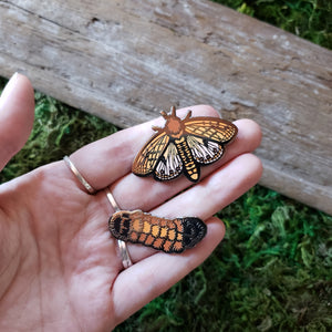 Isabella Tiger Moth and Woolly Bear Pin Set