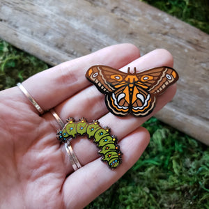 Cecropia Moth Pin Set