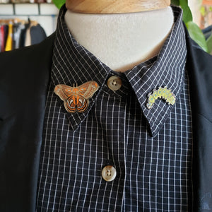 Cecropia Moth Pin Set