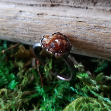 Load image into Gallery viewer, Electroformed Garnet in Copper Ring (size 6.5)
