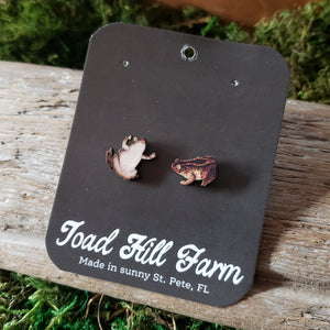 Tiny Toad Wooden Stud Earrings