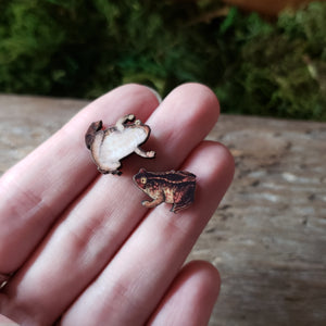 Tiny Toad Wooden Stud Earrings