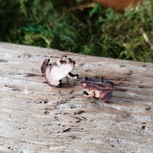 Load image into Gallery viewer, Tiny Toad Wooden Stud Earrings
