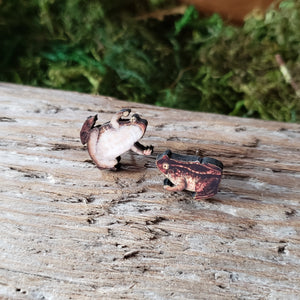 Tiny Toad Wooden Stud Earrings