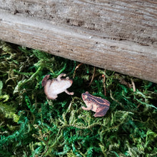 Load image into Gallery viewer, Tiny Toad Wooden Stud Earrings
