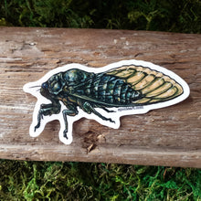 Load image into Gallery viewer, Cicada Semi-Transparent Vinyl Sticker
