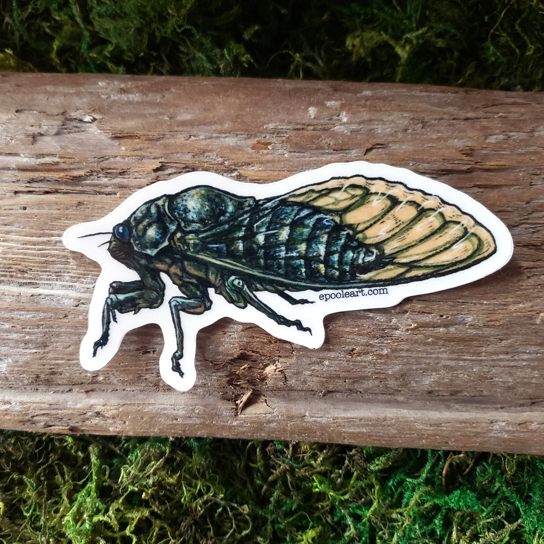 Cicada Semi-Transparent Vinyl Sticker