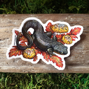 Rough-Skinned Newt Vinyl Sticker