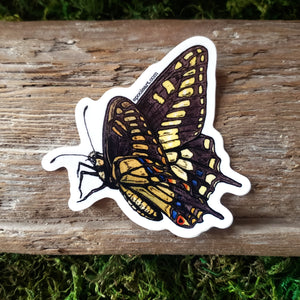 Anise Swallowtail Butterfly Vinyl Sticker