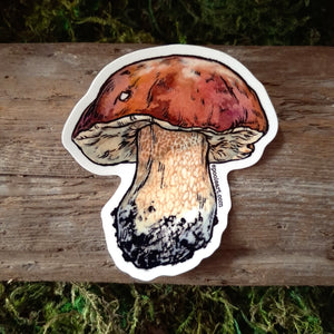 King Bolete Mushroom Vinyl Sticker